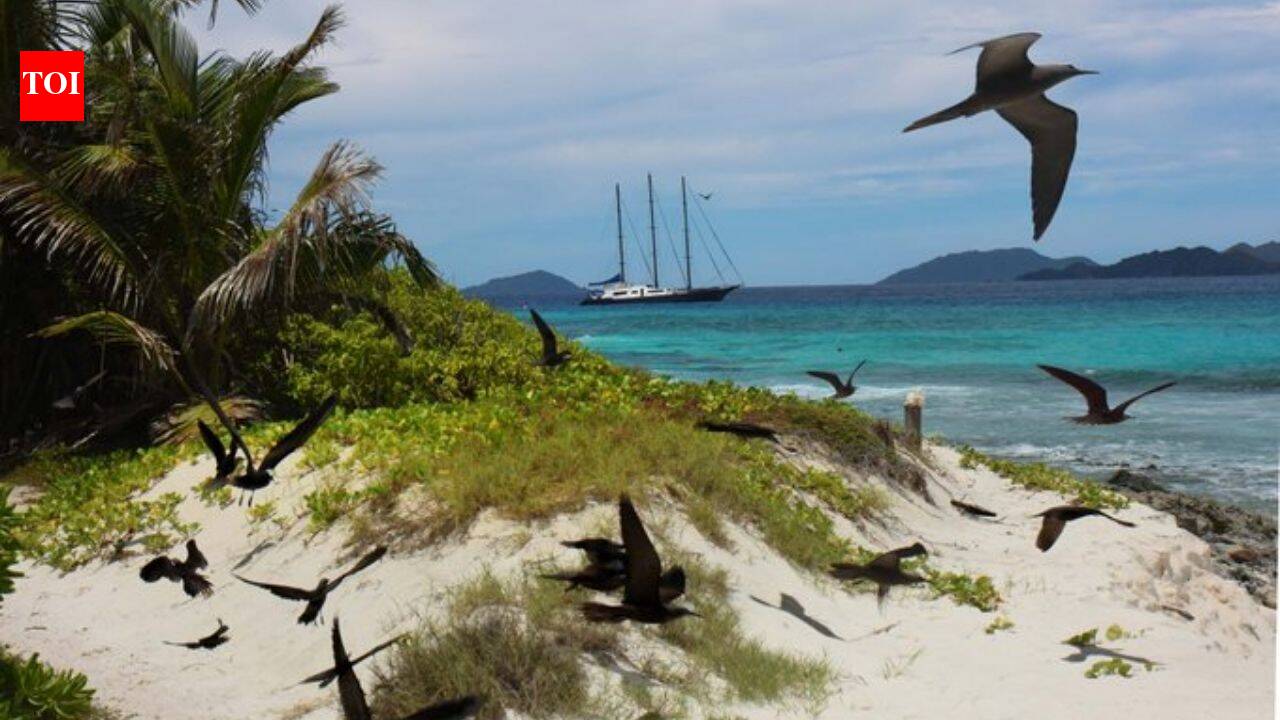 In 1973, Christopher Cadbury funded the &pound;40,000 purchase of a Seychelles island stripped for coconuts and seabird eggs; today over 1 million seabirds breed there each year