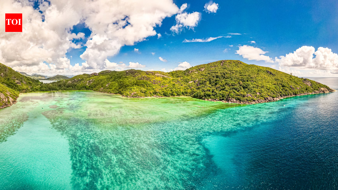 In 1987, a British naturalist became the first professional warden of a remote Seychelles island; a year later 29 endangered warblers were moved there and established a new ...